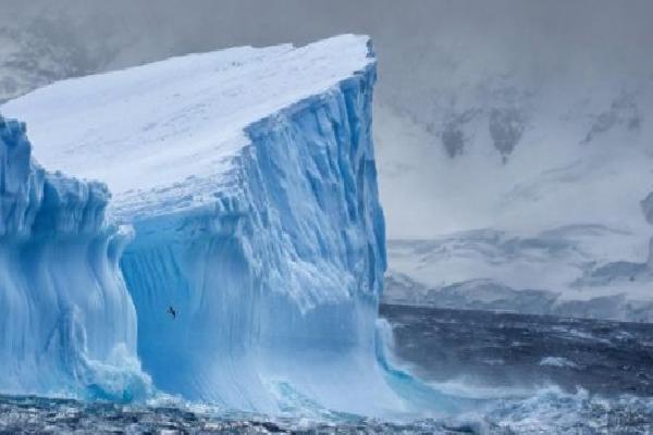 Doğu Antarktika&#8217;da keşfedildi! Tam 14 milyon yıllık, Dünyadan Haberler